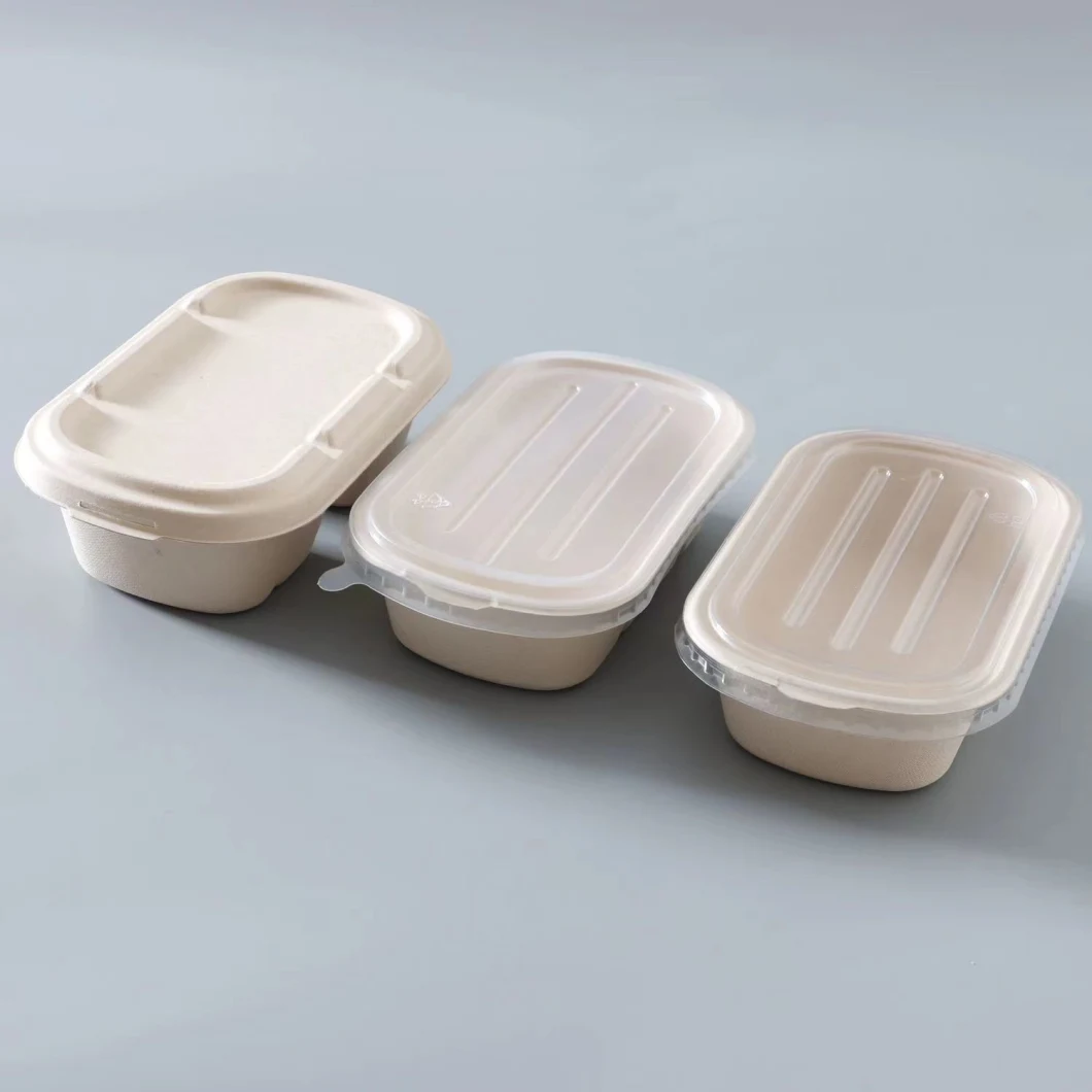 Degradable Cane Pulp Meal Box Environmental Food Packaging Box Delivery Box Meal Box Disposable Tableware