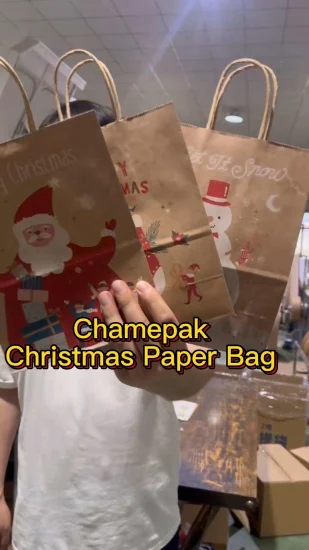 Красивый и прочный рождественский подарочный бумажный пакет, изготовленный на заказ, для покупок и упаковки.